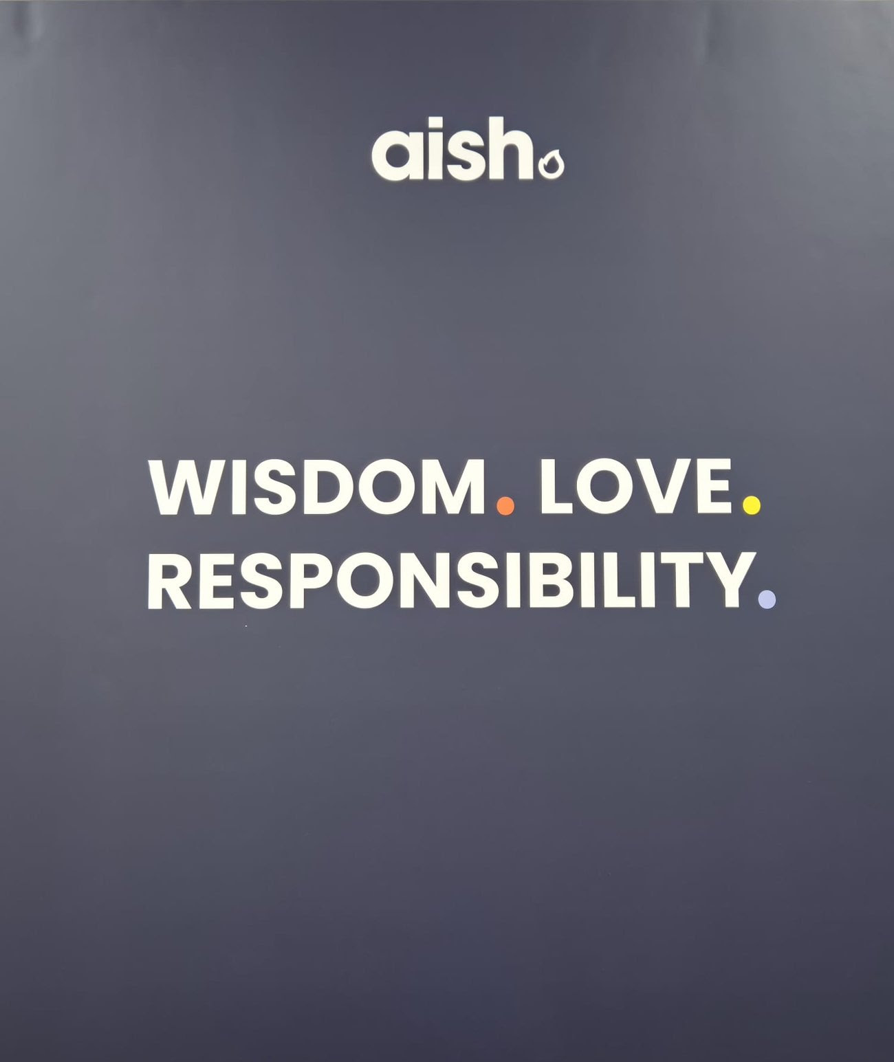 graphic showing the Aish slogan "wisdom, love, responsibility"